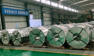 Tin Free Steel(TFS)